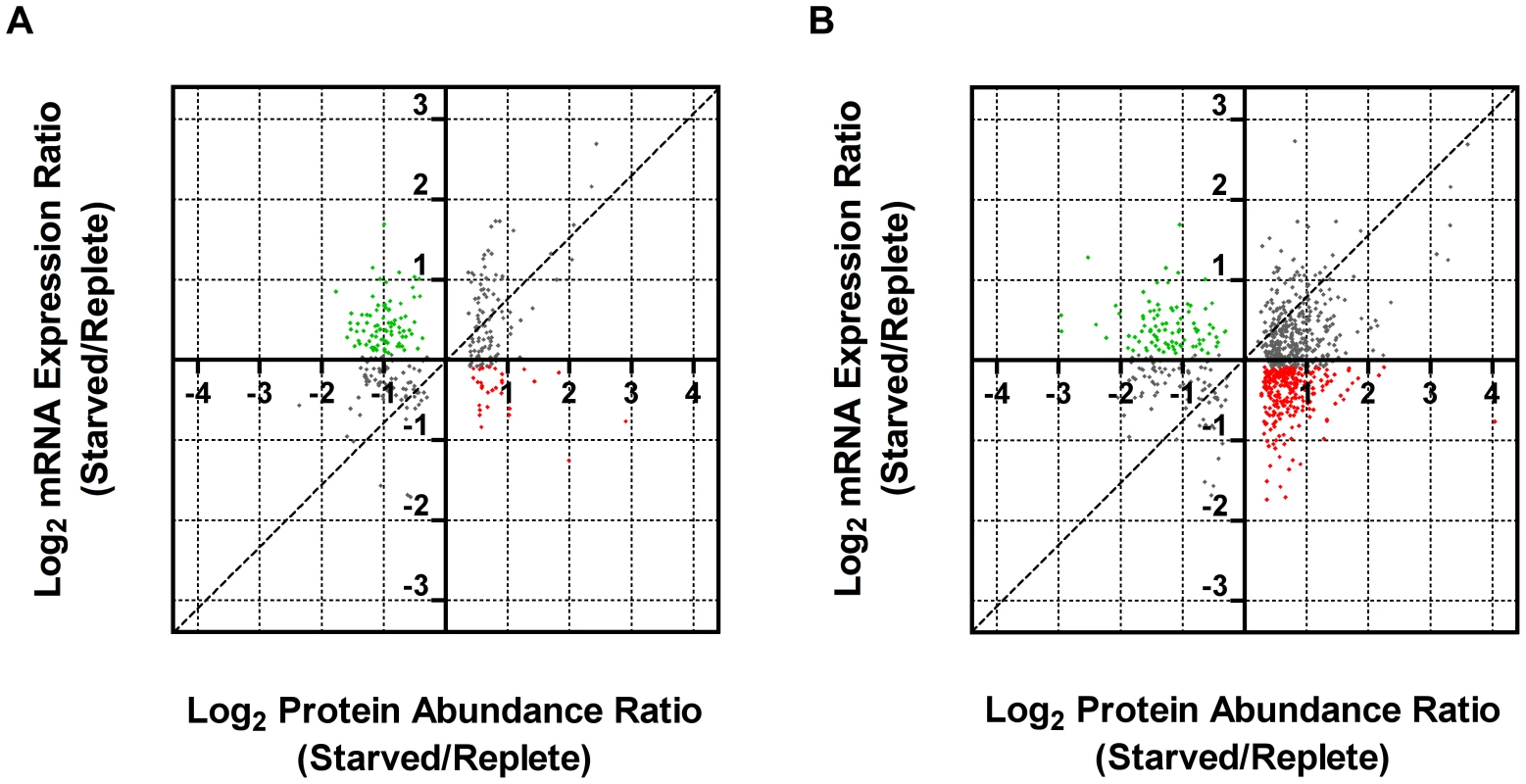 Comparison of fold changes at the protein and mRNA level in purine-starved cells.