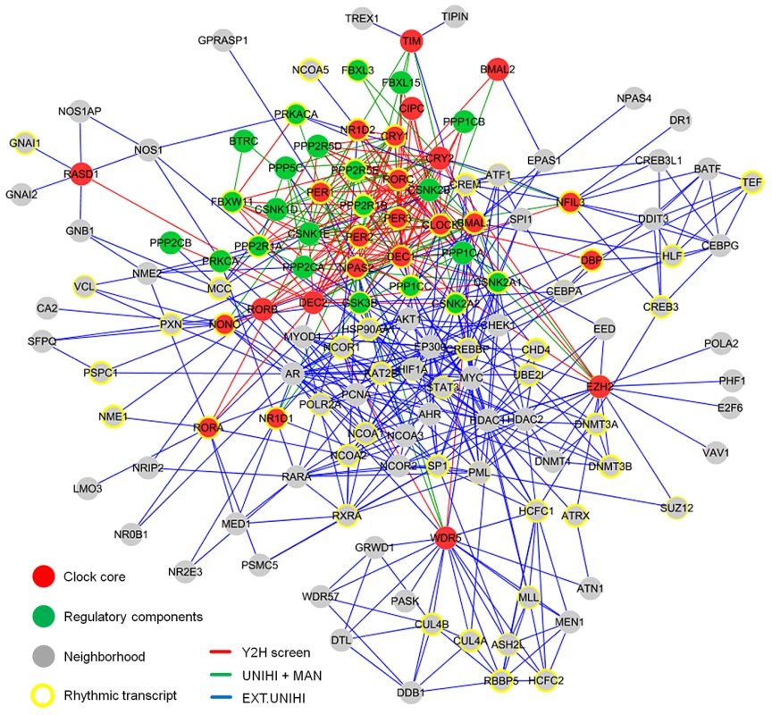 The Circadian Protein–Protein Interaction Network.