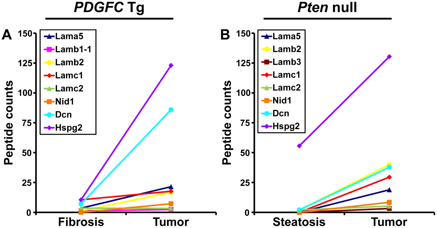 Non-collagenous ECM proteins up-regulated in <i>PDGFC</i> Tg and <i>Pten</i> null tumors.