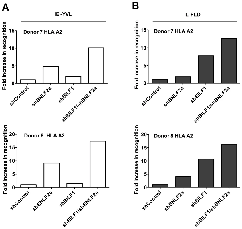 Relative recognition by IE- and L- specific, HLA-A2 restricted CD8<sup>+</sup> T cell clones of LCLs lacking both BNLF2a and BILF1 expression.