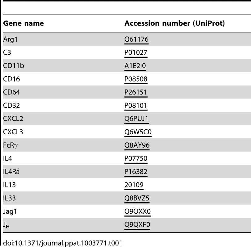 Accession numbers for abbreviations of gene name used in the text.