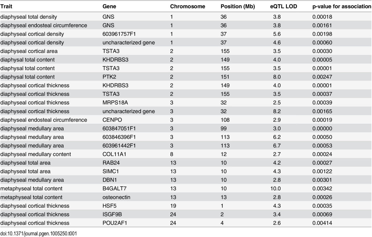 Table of high-confidence candidate eQTL with location of the gene, LOD score, and p-value for association between gene expression and bone trait.