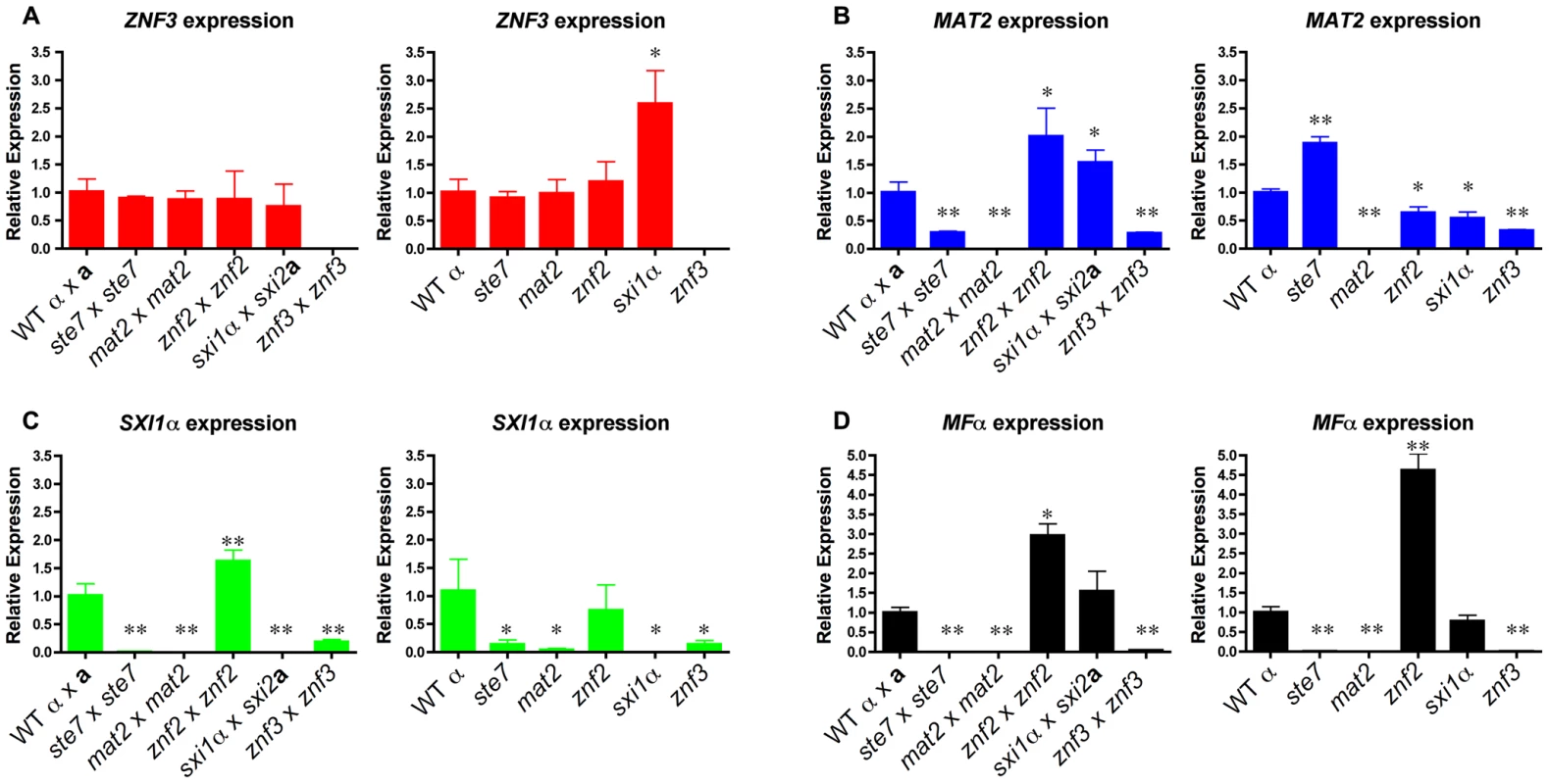 Znf3 regulates the expression of Mat2 and promotes pheromone production.