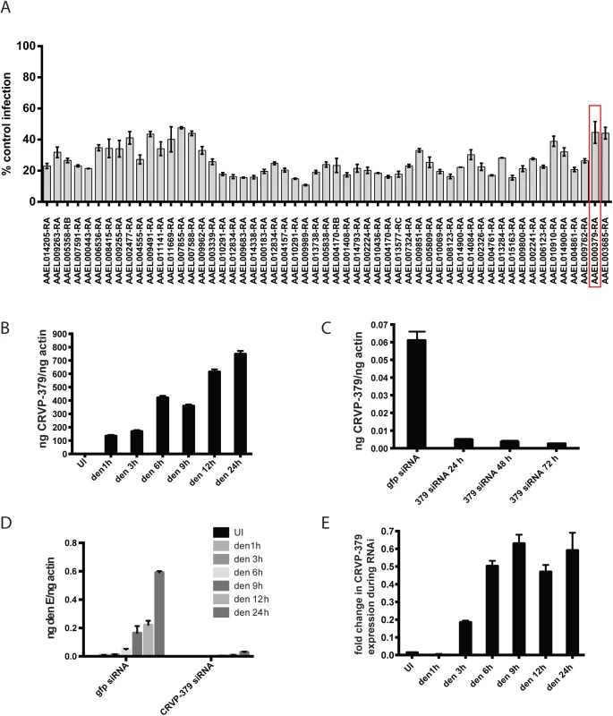 Silencing select virally-up-regulated genes reduces DENV infection in mosquito cells.