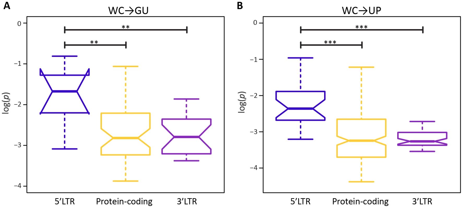 Intra-population frequencies of single-site WC replacement polymorphisms in 5′LTR, protein-coding, and 3′LTR regions of the HIV-1 genome.