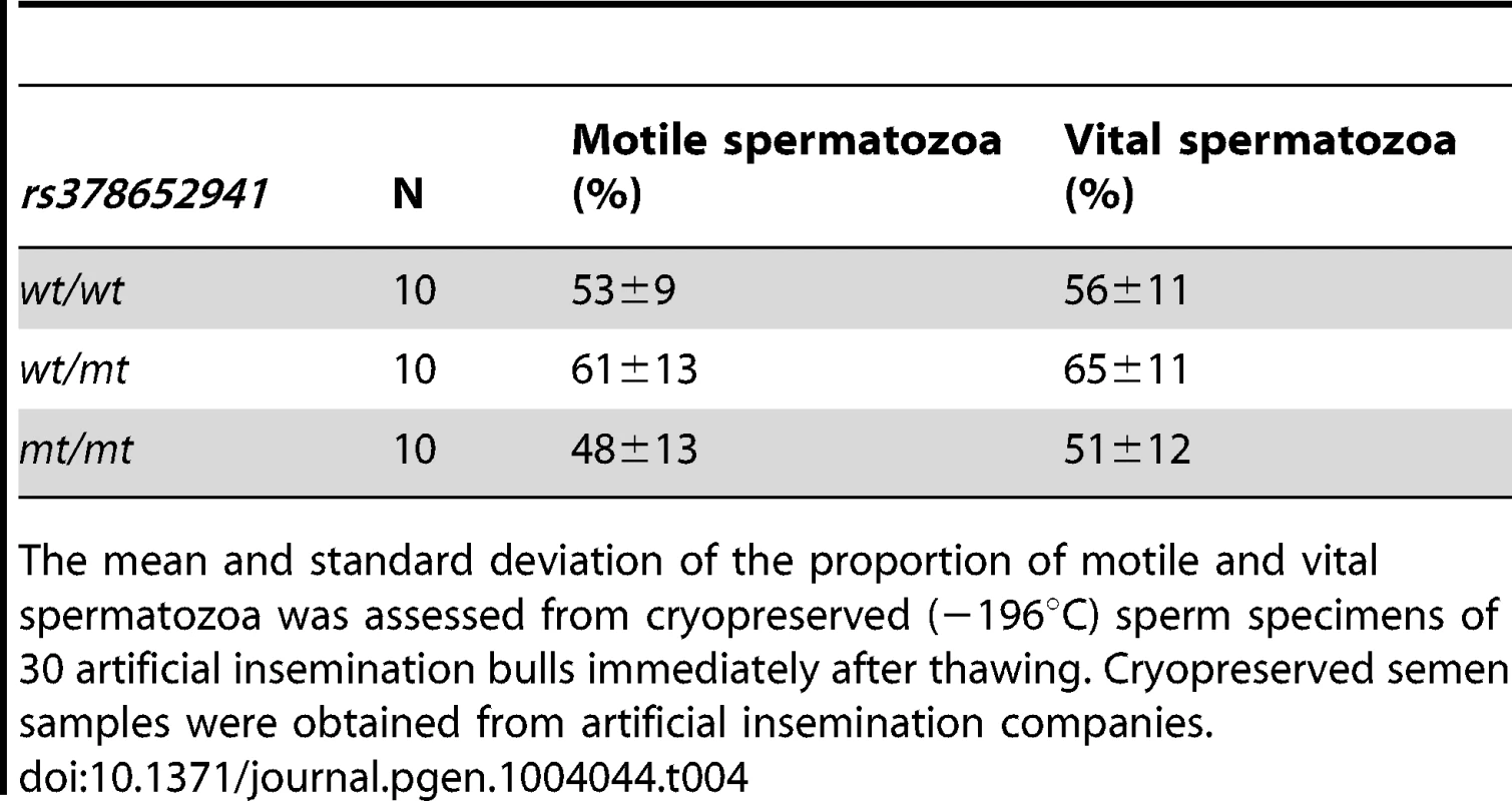 Assessment of cryopreserved semen quality after thawing.