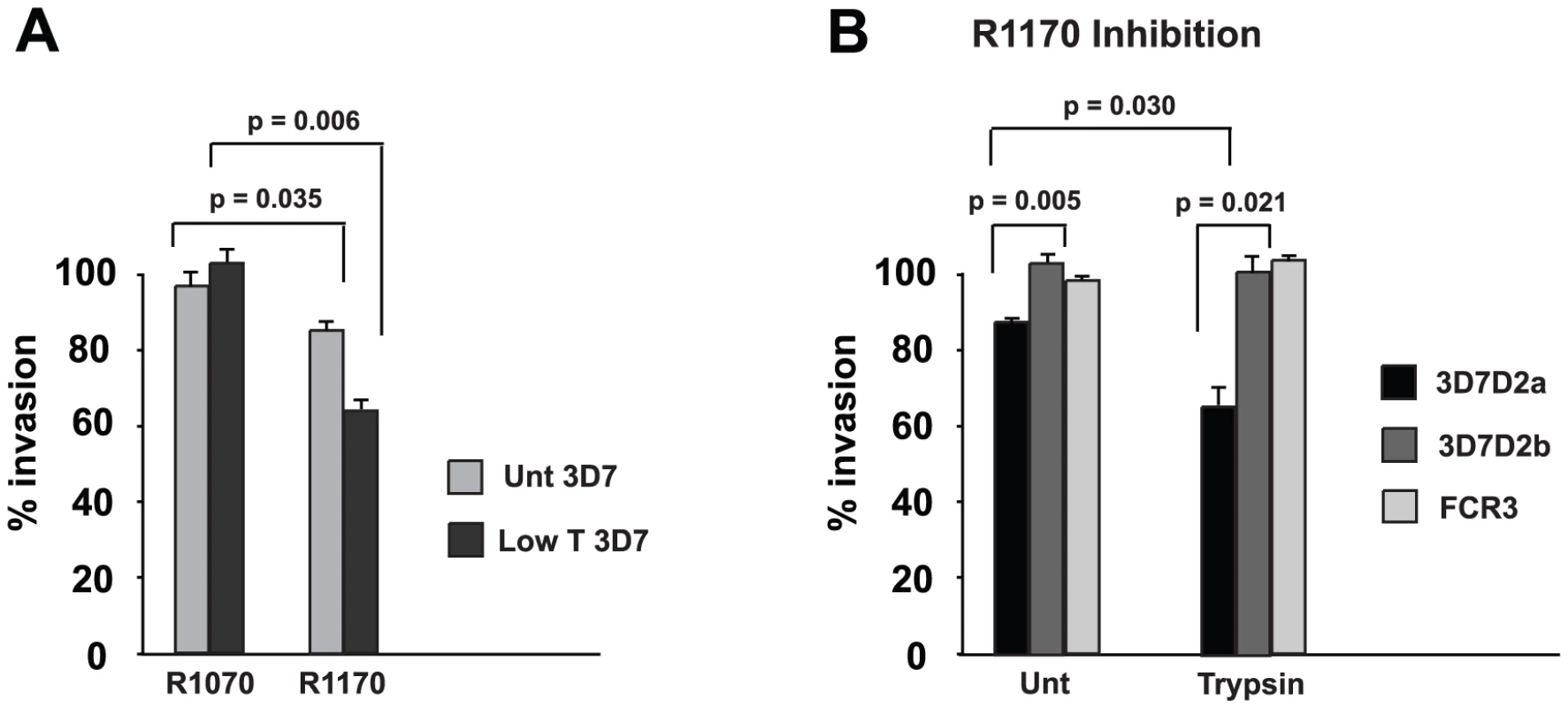 Antibodies to rRh2<sub>15</sub> block merozoite invasion.