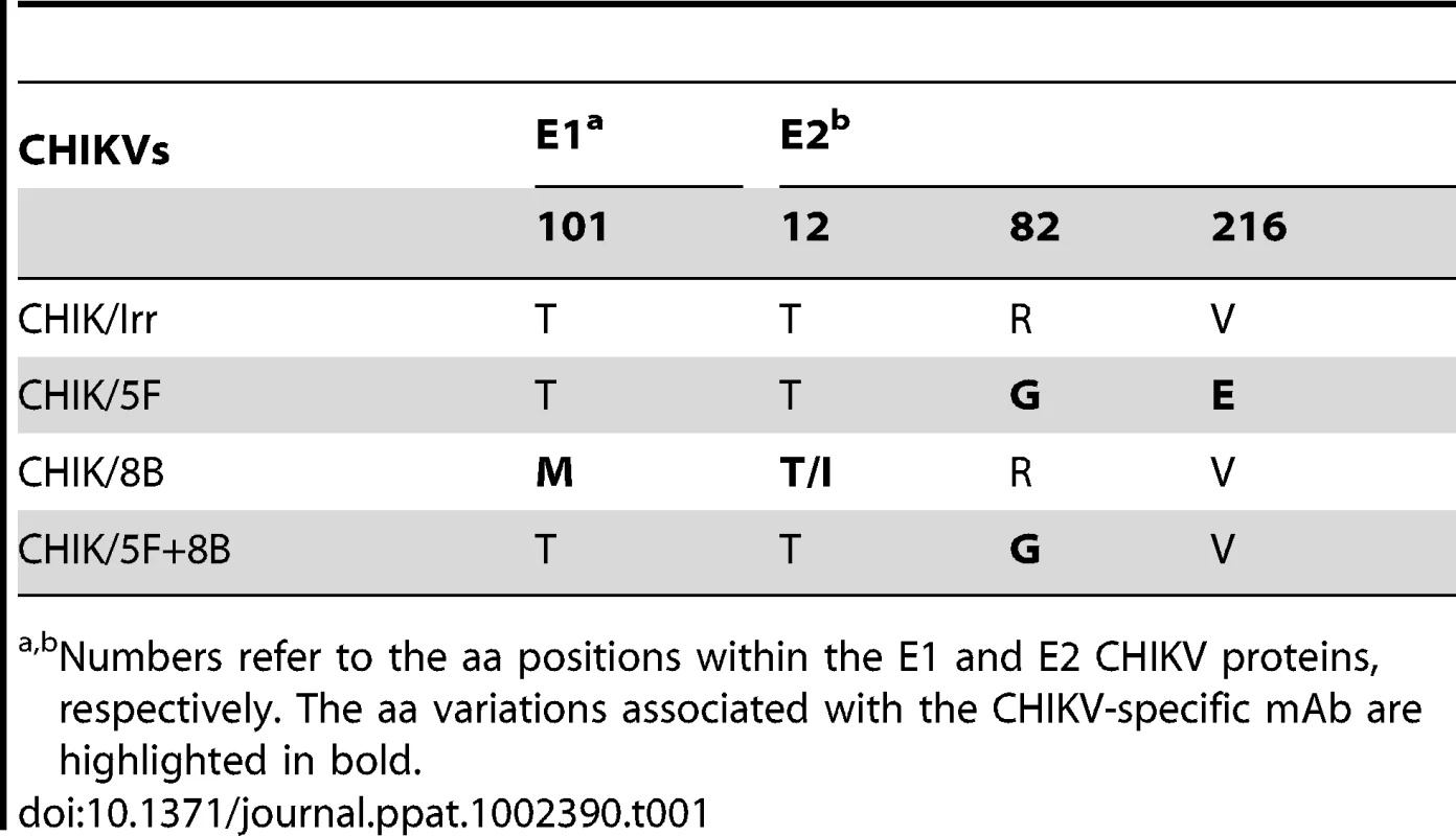 Amino acid variations in the E1 and E2 glycoproteins among CHIKV variants amplified over 8 rounds under mAb pressure.