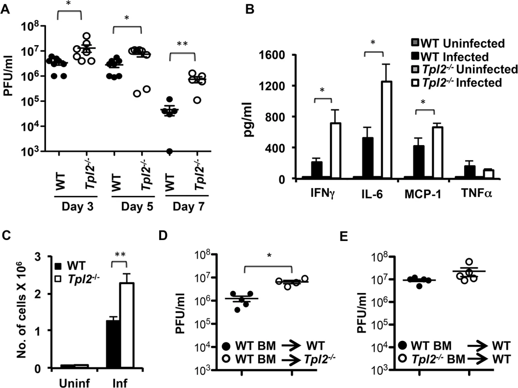 Tpl2 ablation enhances virus replication and inflammatory responses during influenza infection.
