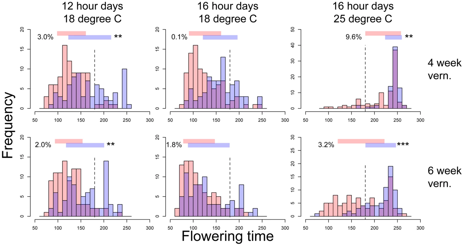 Flowering time distributions of families with the Montana (red bars) or Colorado (blue bars) homozygous genotypes of <i>nFT</i> locus in six environments.