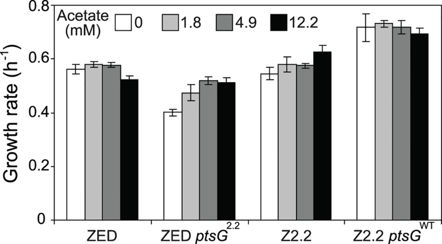 Growth rates of <i>E</i>. <i>coli</i> in response to acetate concentrations.