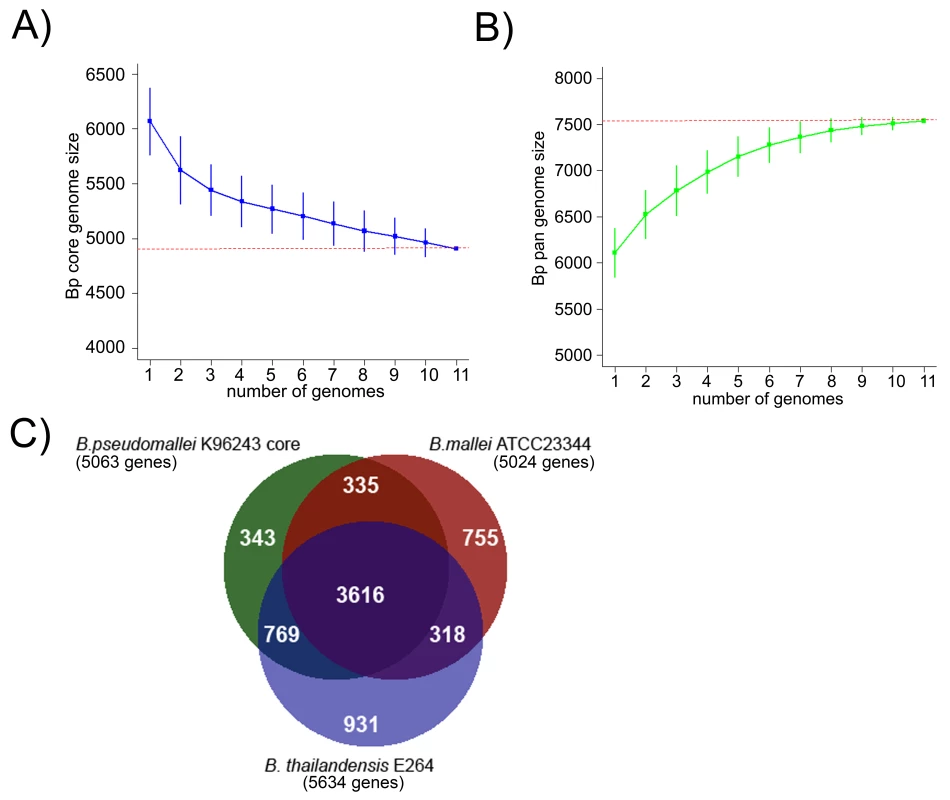 Comparative Analysis of the Bp Core Genome.