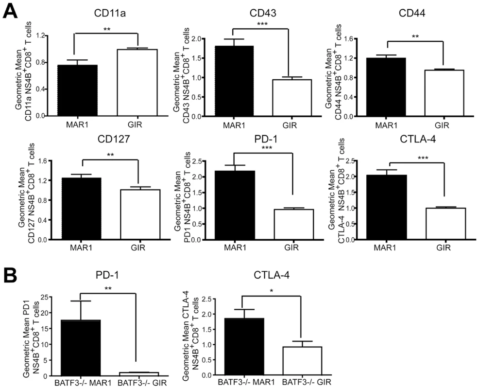 Effect of MAR1-5A3 treatment on expression of markers of CD8<sup>+</sup> T cell activation and exhaustion.