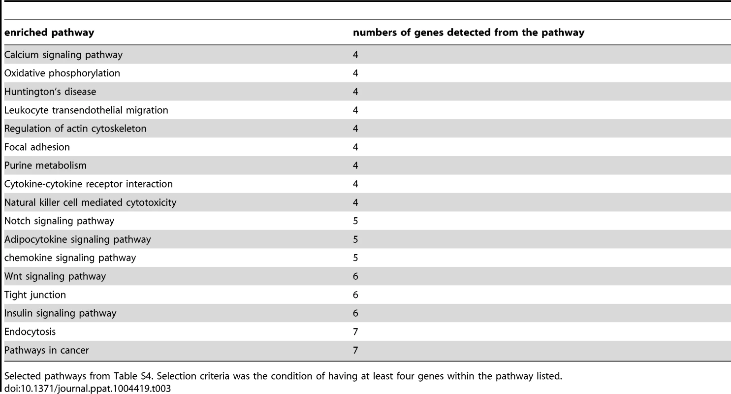 Pathways that have at least four participating genes of the high confidence set.
