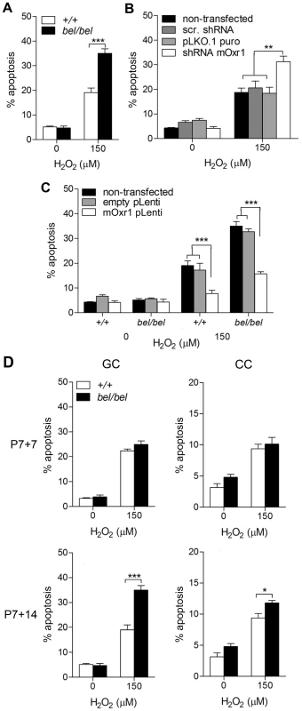 Oxr1 regulates sensitivity of GC neurons to oxidative stress.