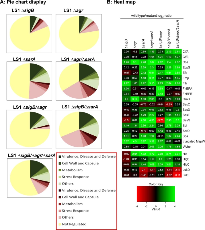 Proteomic analysis of strain LS1 and corresponding mutants.