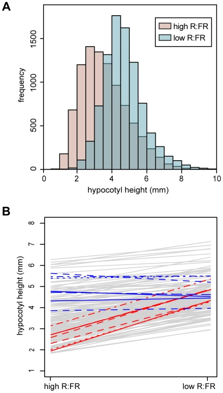 Hypocotyl height phenotypes.