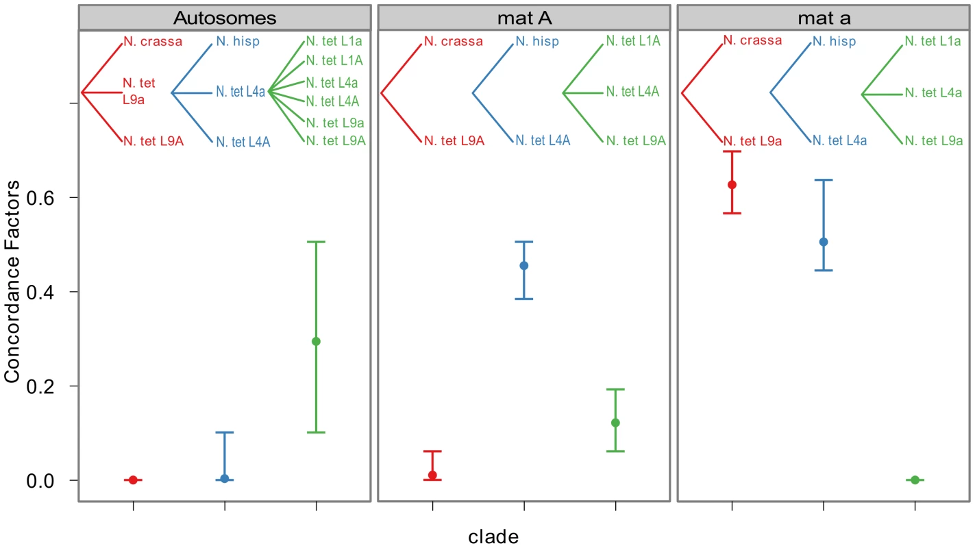Bayesian concordance factors of selected clades, for the autosomes and the mating-type chromosomes (<i>mat A</i> and <i>mat a</i>) of Neurospora.