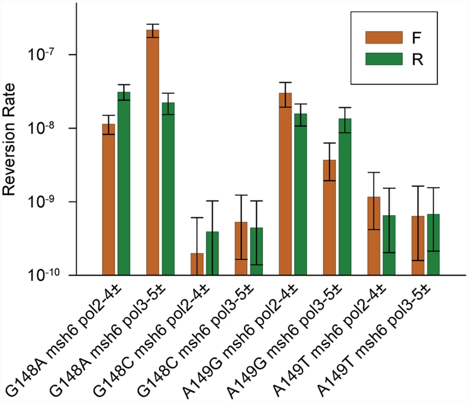 Reversion rates of additional heterozygous proofreading-deficient <i>trp5</i> strains.