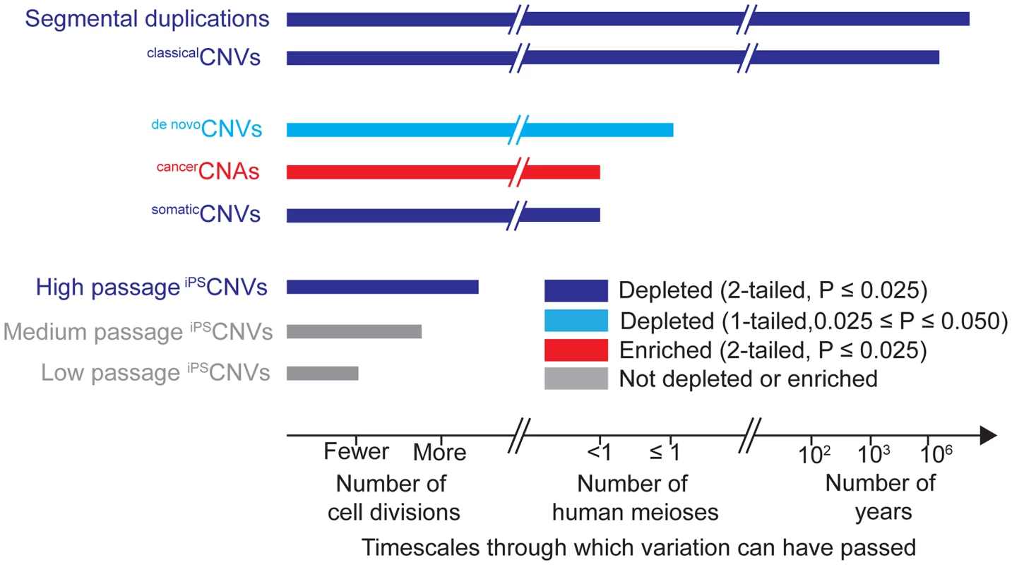 Timescales through which different types of genomic variation have been present and their relationships to UCEs.
