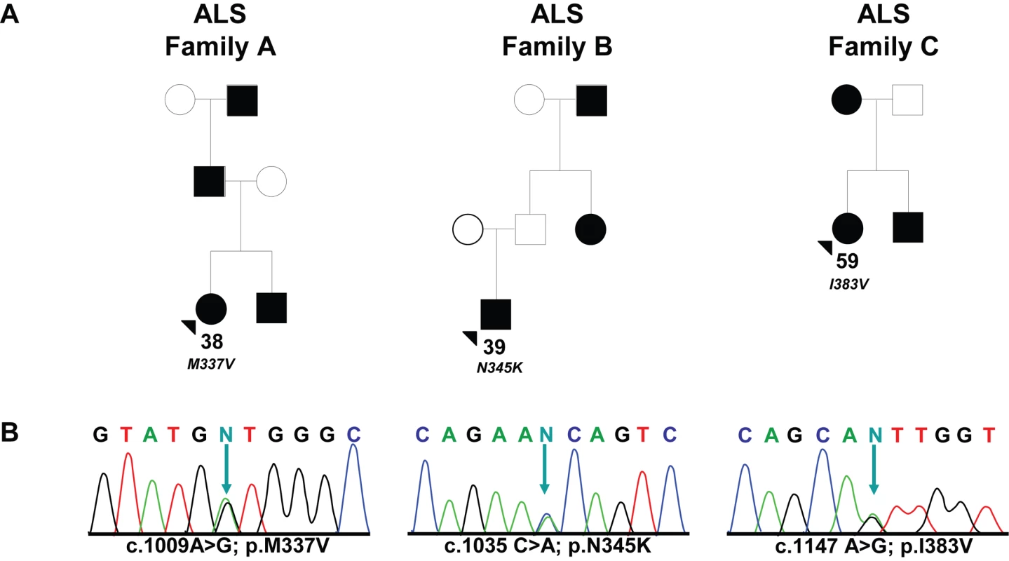 Missense mutations identified in <i>TARDBP</i> in familial ALS patients.