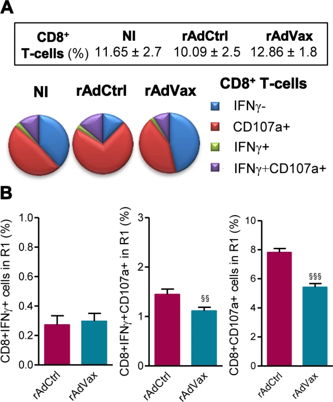 Reduced frequency of CD107a<sup>+</sup>CD8<sup>+</sup> T-cells in chronically <i>T. cruzi</i>-infected mice subjected to rAdVax immunotherapy.