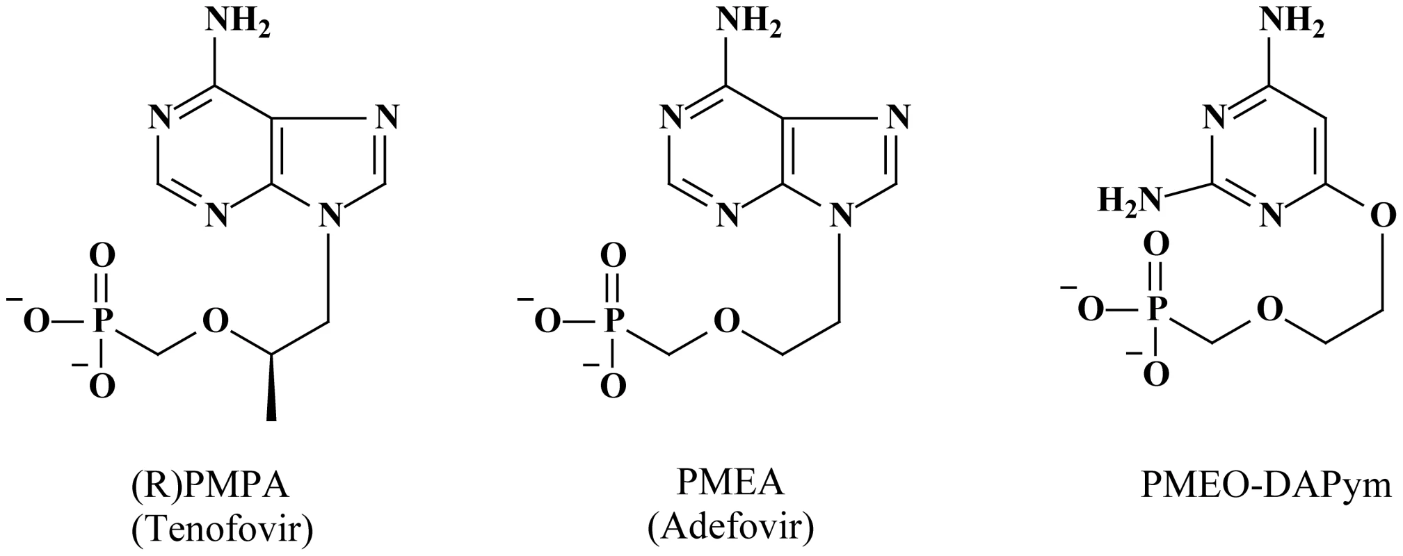 Structural formulae of the acyclic nucleoside phosphonates.