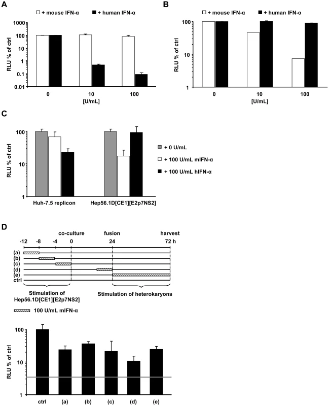 Effect of human and mouse IFN-α treatment on HCV and VSV in human and mouse cells as well as in human-mouse heterokaryons.