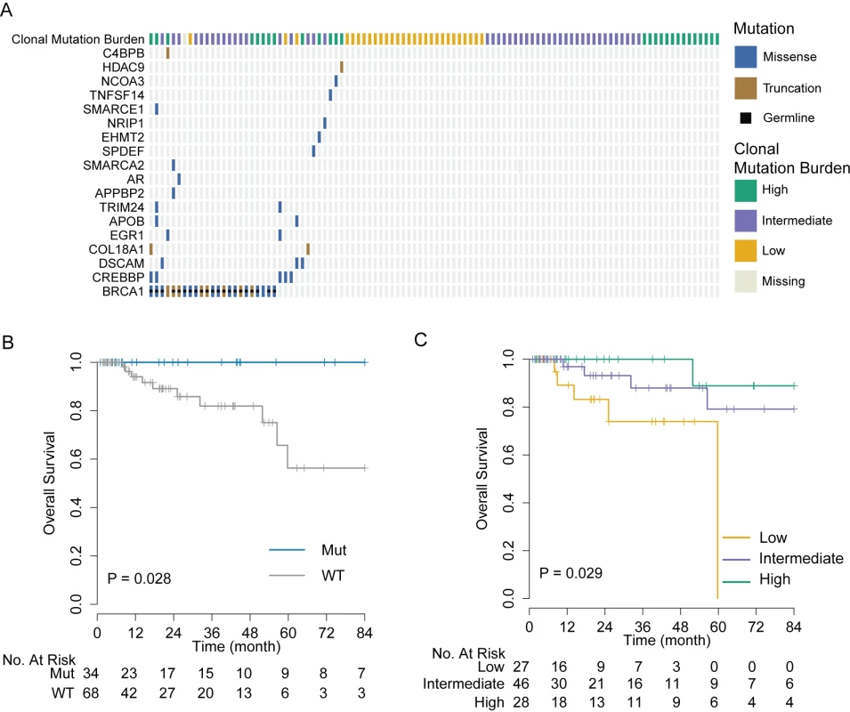 Validation of genomic markers of chemosensitivity in the TCGA triple negative breast cancer cohort.