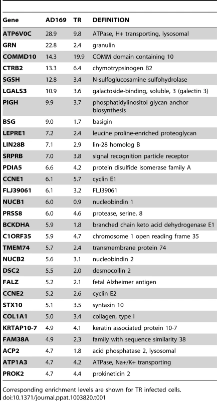 Summary table of the top 30 most enriched genes following infection with AD169.