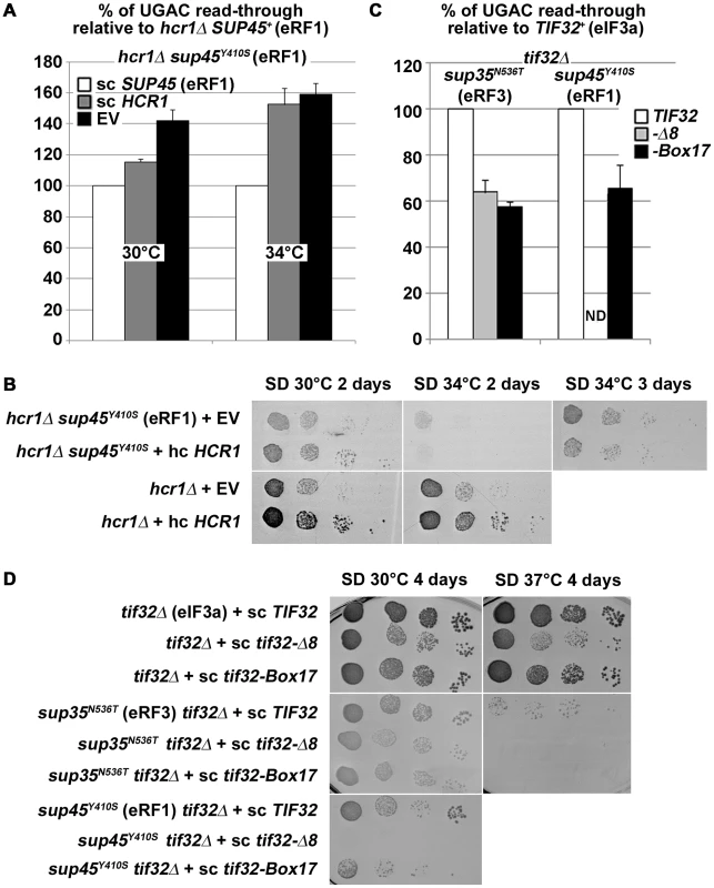 <i>hcr1Δ</i> and eIF3 mutants genetically interact with release factor mutants.