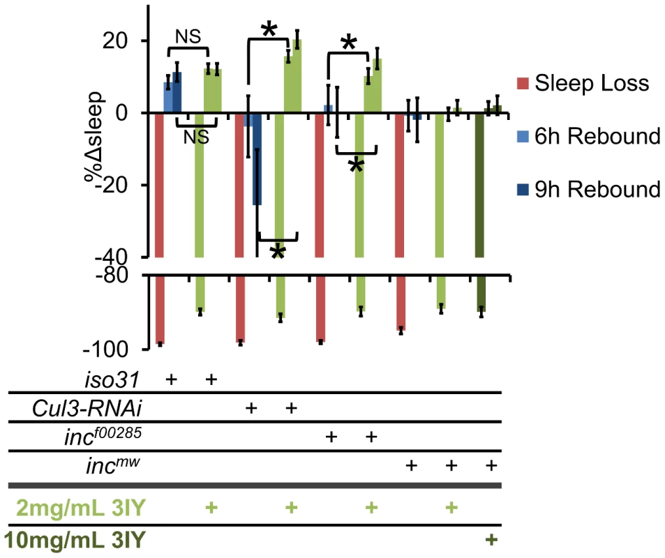 3IY rescues sleep homeostasis defects in <i>Cul3-RNAi</i> and <i>inc<sup>f00285</sup></i> but not <i>inc<sup>mw</sup></i>.