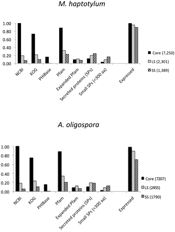 Features of core, lineage-specific (LS) and species-specific (SS) protein-coding genes in <i>M. haptotylum</i> and <i>A. oligospora</i>.