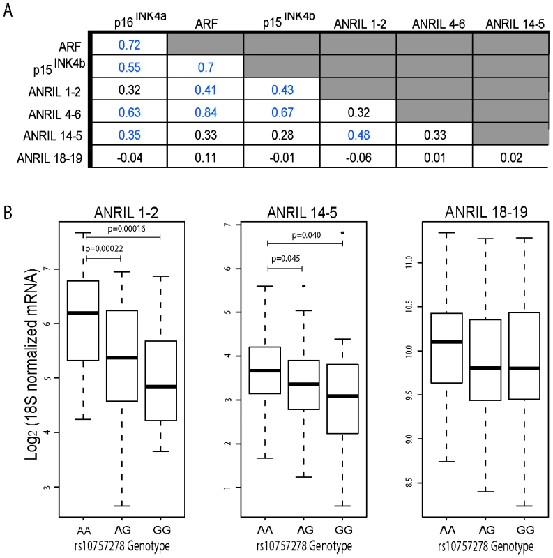 <i>ANRIL4-6</i> and <i>14-5</i> correlate with <i>INK4/ARF</i> expression and rs10757278 genotype in human PBTLs.