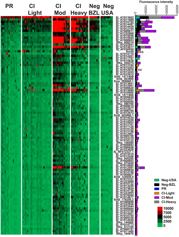 IgG3 reactivity profiles of resistant and susceptible human cohorts to <i>Schistosoma</i> proteins printed on a proteome microarray.