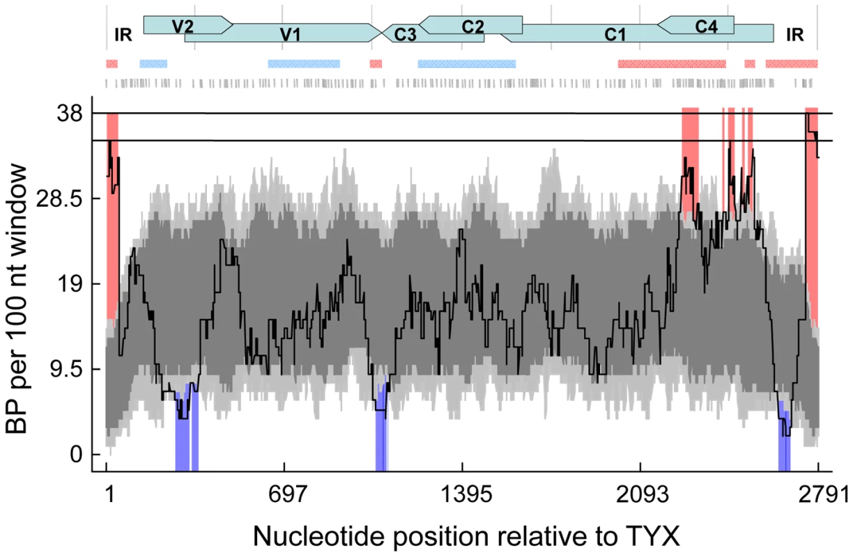 The distribution of 452 unique recombination breakpoints detected within the 50 unique recombinant sequences emerging during <i>Tomato yellow leaf curl virus</i> (TYX) and <i>Tomato leaf curl Comoros virus</i> (TOX) co-infections.