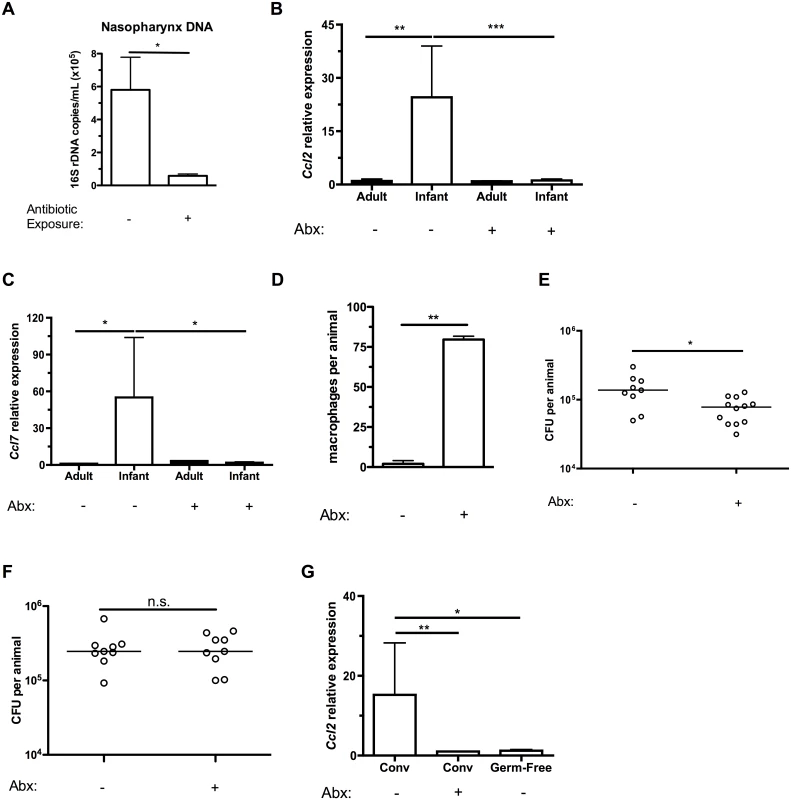 Depleting the microbiota limits infant <i>Ccl2</i> expression and accelerates pneumococcal clearance.