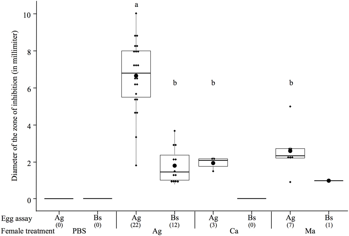 Boxplot showing the mean diameter of the zone of inhibitions (in mm) of protected egg extracts according to the microorganism on which they were tested (egg assay) and the maternal microbial treatment.