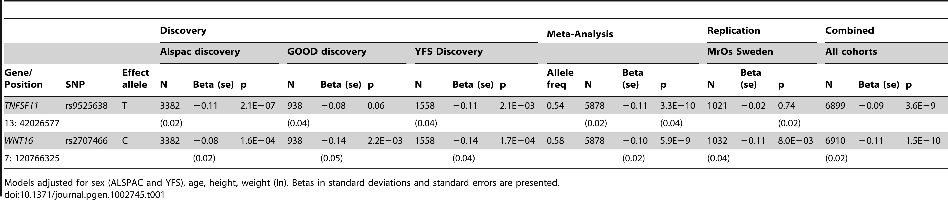 Top cortical thickness GWA meta-analysis hits, with replication and meta-analysis of all four cohorts.