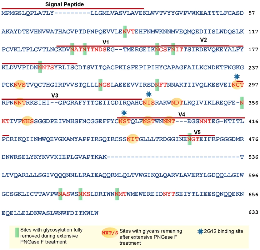 Glycan analysis of native partially deglycosylated JRFL gp140 protein.