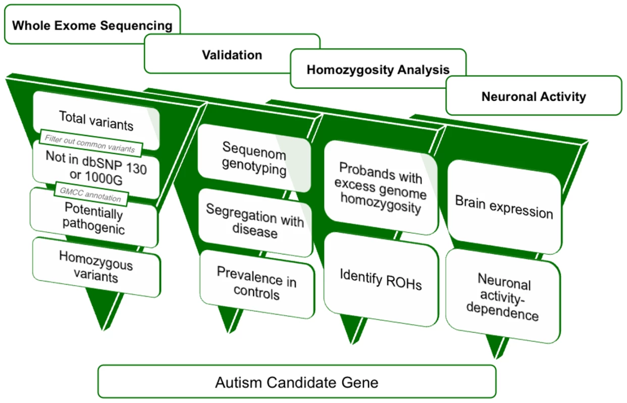 A four-dimensional approach to identifying autism candidate genes.