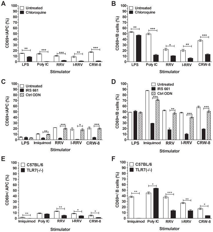 Inhibition of endosomal acidification or TLR7 signaling blocked APC and B cell activation.