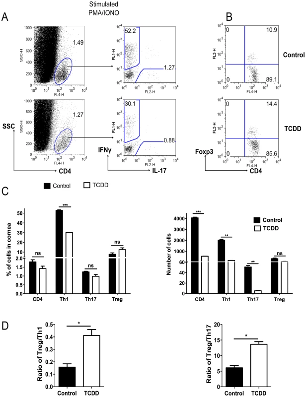 TCDD treatment shifts the balance from T effectors to T regulatory cells after HSV infection.