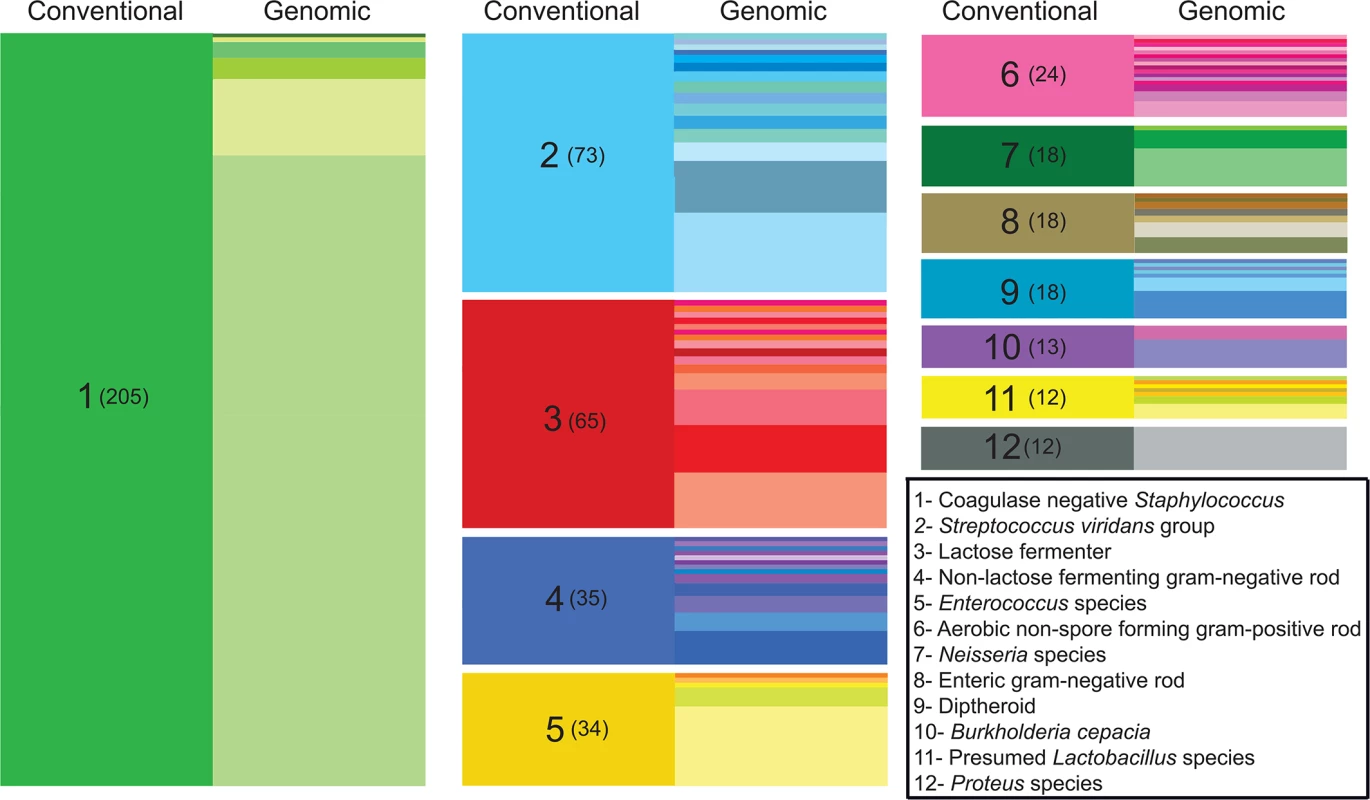Improved taxonomic resolution of bacterial typing by genomic similarity.