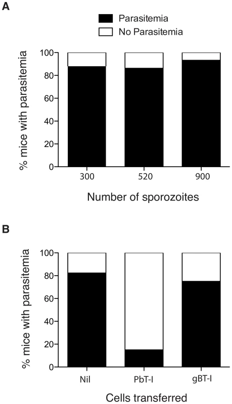 Activated PbT-I cells confer protection against a sporozoite challenge.
