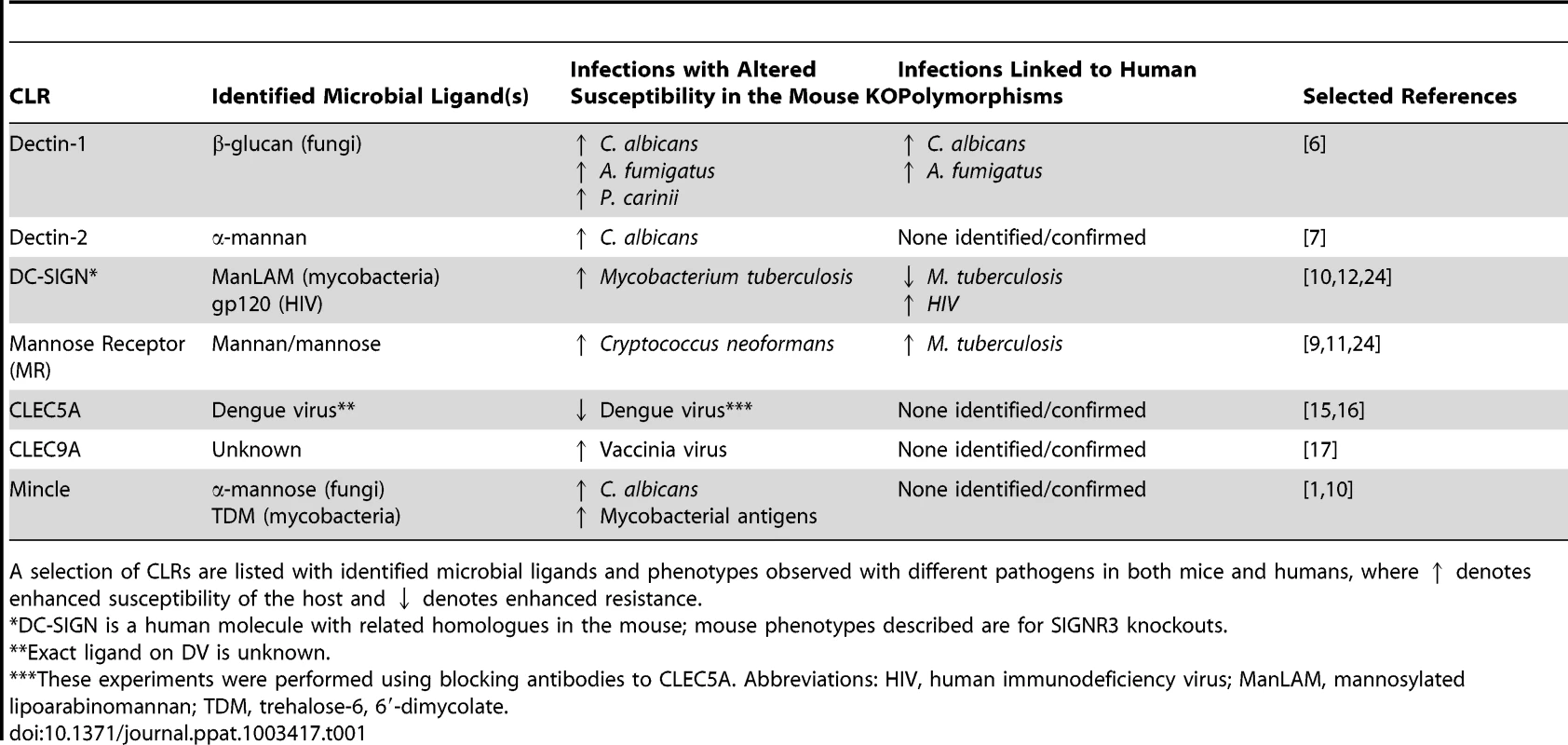 Selected CLRs, their microbial ligands, and the microbes that have altered ability to infect in the absence of the receptor within mice and humans.