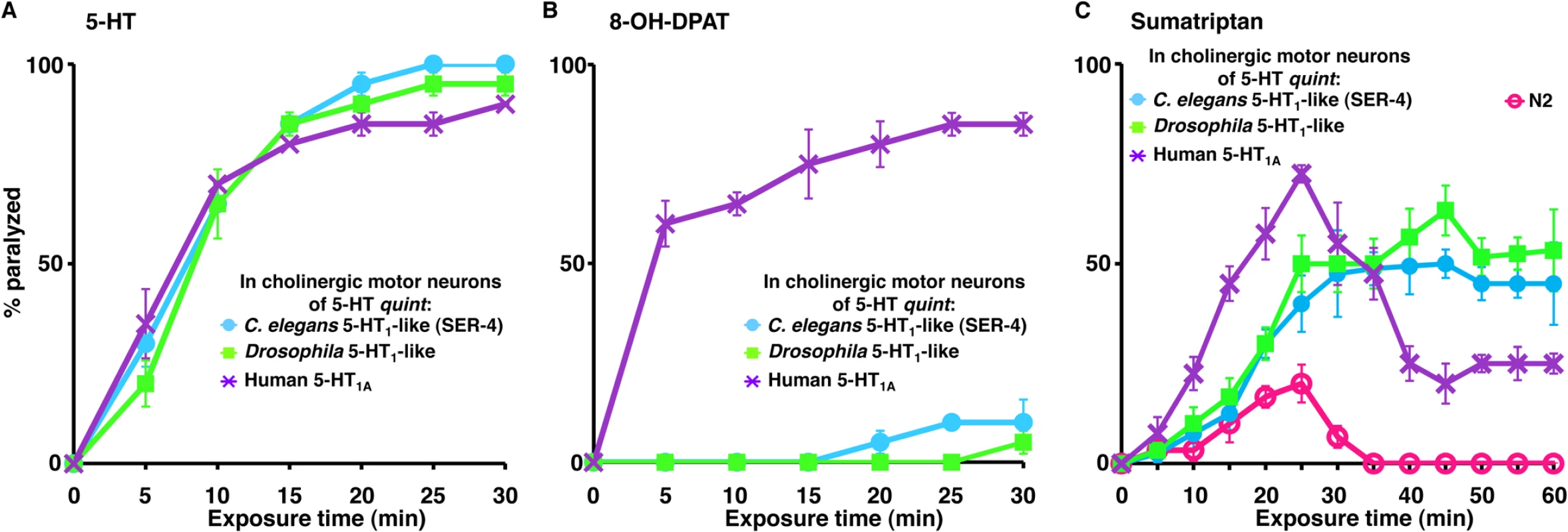 5-HT and 5-HT receptor agonists selectively paralyze <i>C</i>. <i>elegans</i> 5-HT receptor mutant animals expressing nematode, insect or human 5-HT<sub>1</sub>-like receptors in the cholinergic motor neurons.