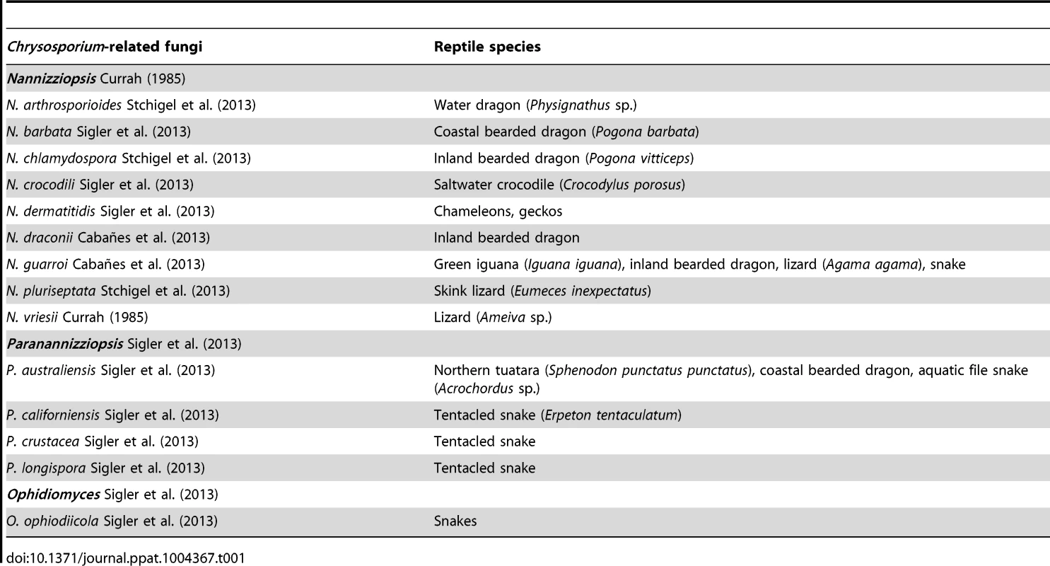 Proposed species causing infection in reptiles &lt;em class=&quot;ref&quot;&gt;[21]&lt;/em&gt;, &lt;em class=&quot;ref&quot;&gt;[23]&lt;/em&gt;.