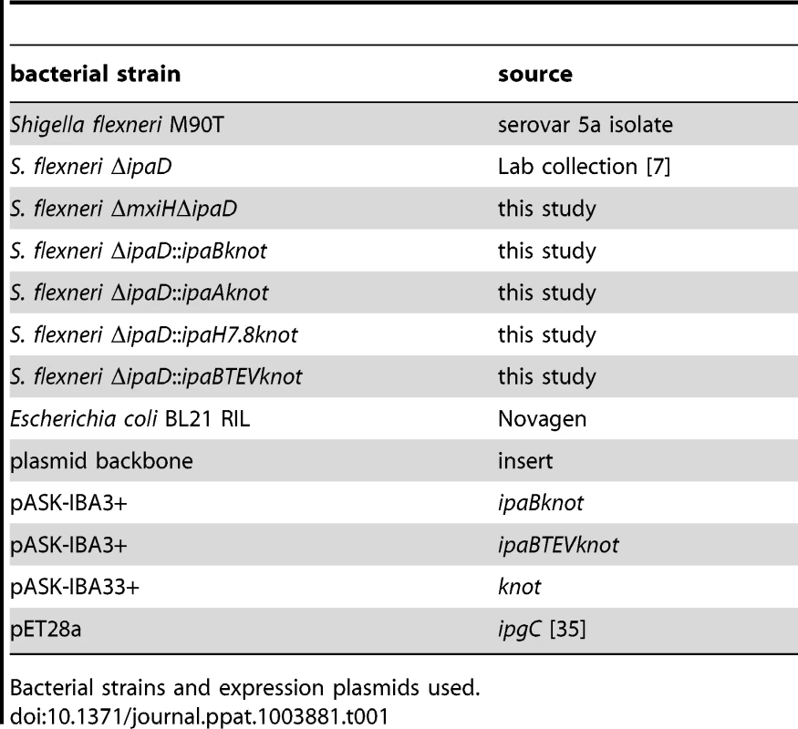 Bacterial strains and plasmids used in this study.