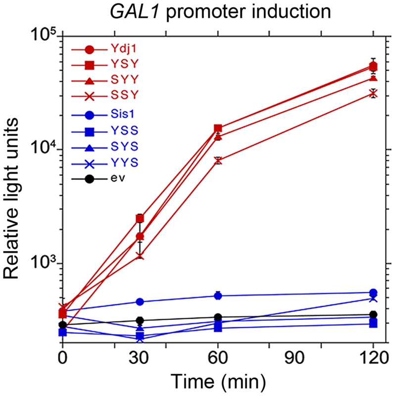 Function of Sis1/Ydj1 hybrids in galactose induction.